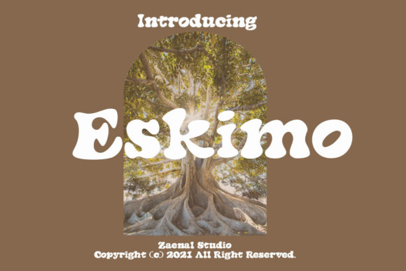 Eskimo: A Standout Display Font for Digital Branding